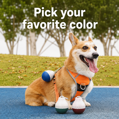 Portable Dog Water Dispenser